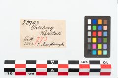 Etikett zu Bronzering (NHMW-PRAE-025993)